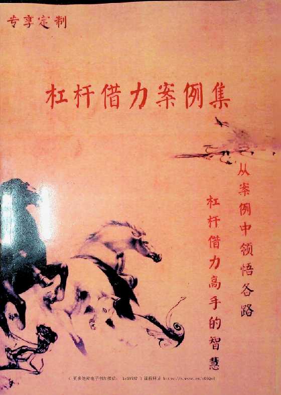 《杠杆借力案例集》-读书社