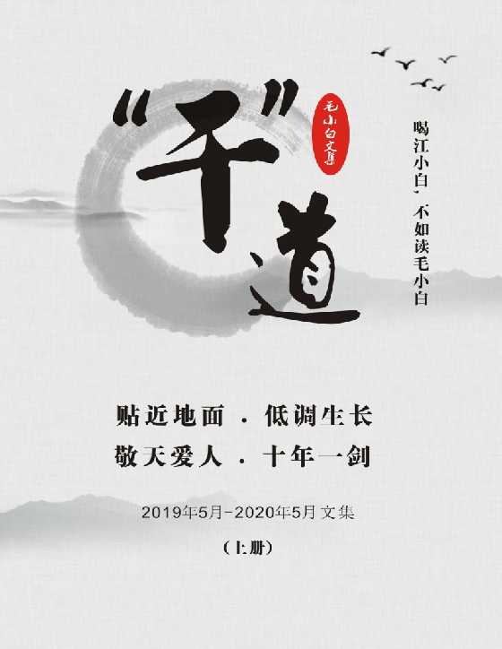 《干道文集》上册毛小白文集-读书社