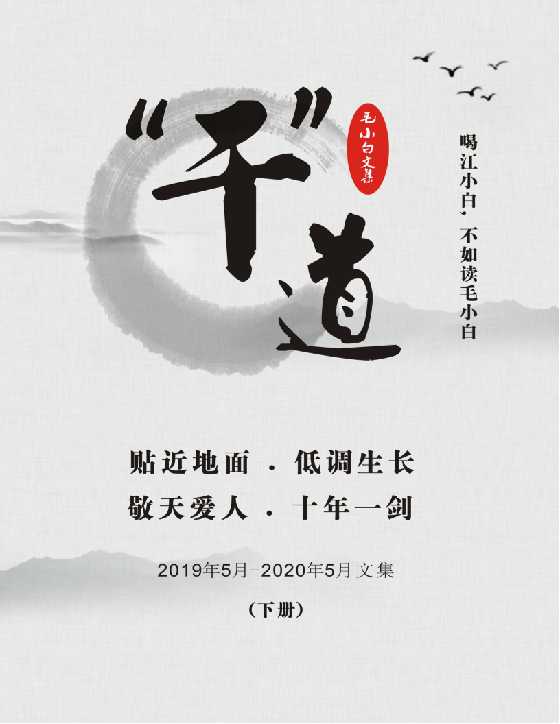 《干道文集》下册毛小白文集-读书社