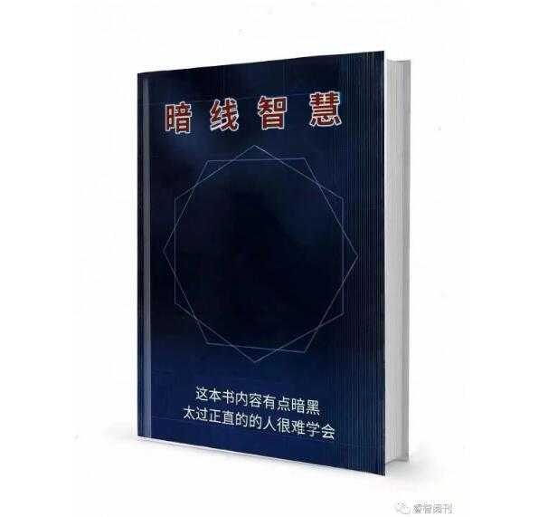 《暗线智慧》PDF-读书社