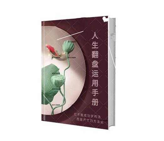 《人生翻盘运用手册》PDF-读书社