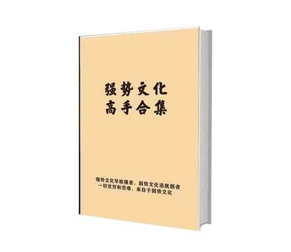 《强势文化：成为高手的必经之路》PDF-读书社