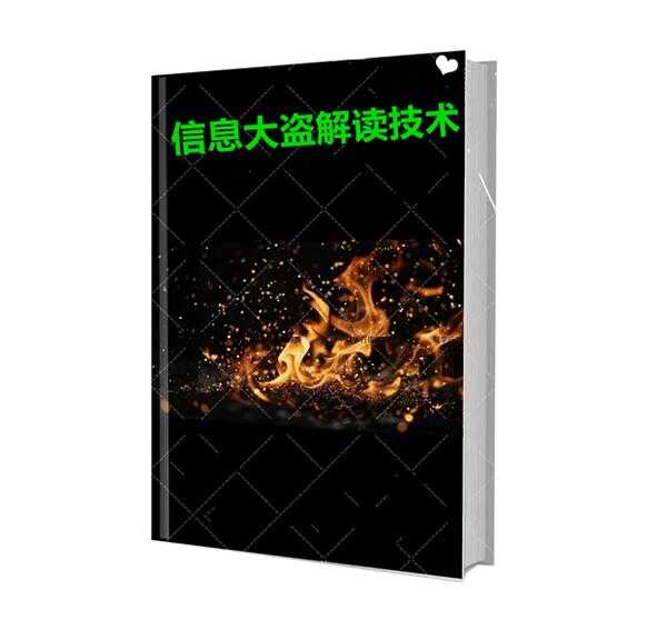 《信息大盗解读技术》PDF-读书社